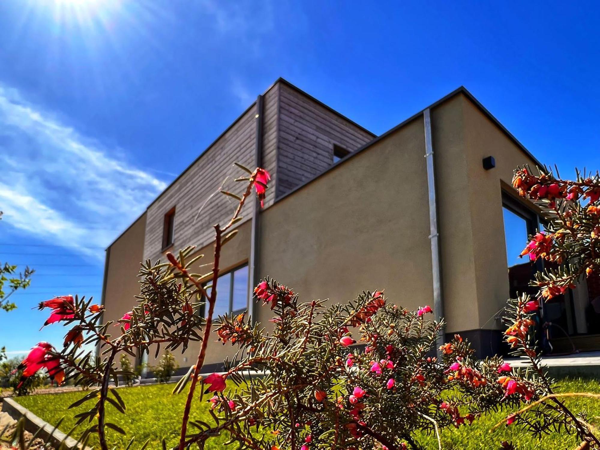 Inova Guesthouse Άσσελτ Εξωτερικό φωτογραφία